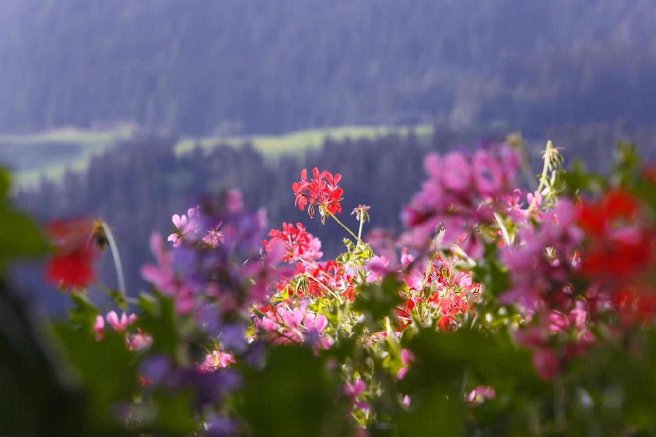 Vila Nagelehof Ridanna Exteriér fotografie